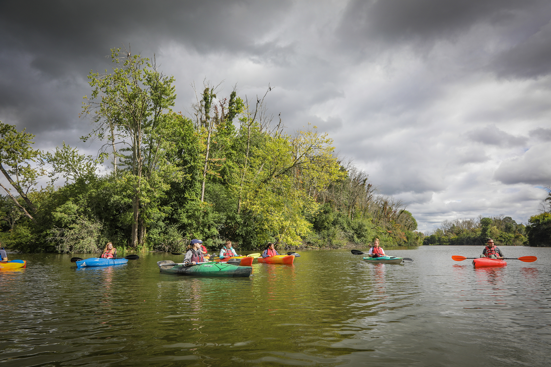 Ornithology Kayaking at Montezuma National Wildlife Refuge